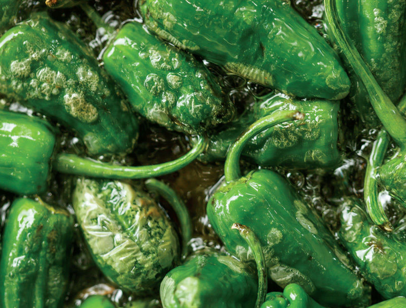 0914 padron peppers o2r42w