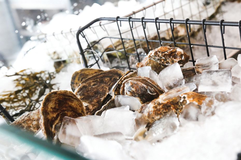 The 7 Best Oyster Bars In Sarasota Sarasota Magazine