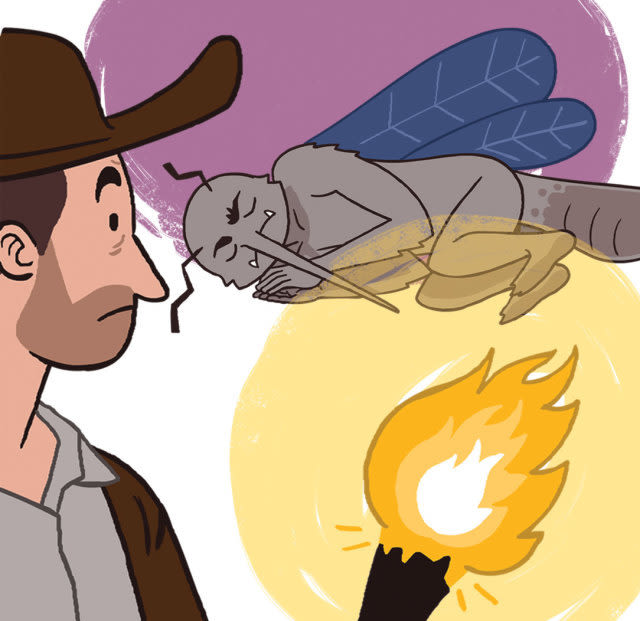 1215 reasons to love winter illo mosquito l3n1yo zlfgif