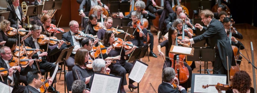 Morlot symphony zkwyvu