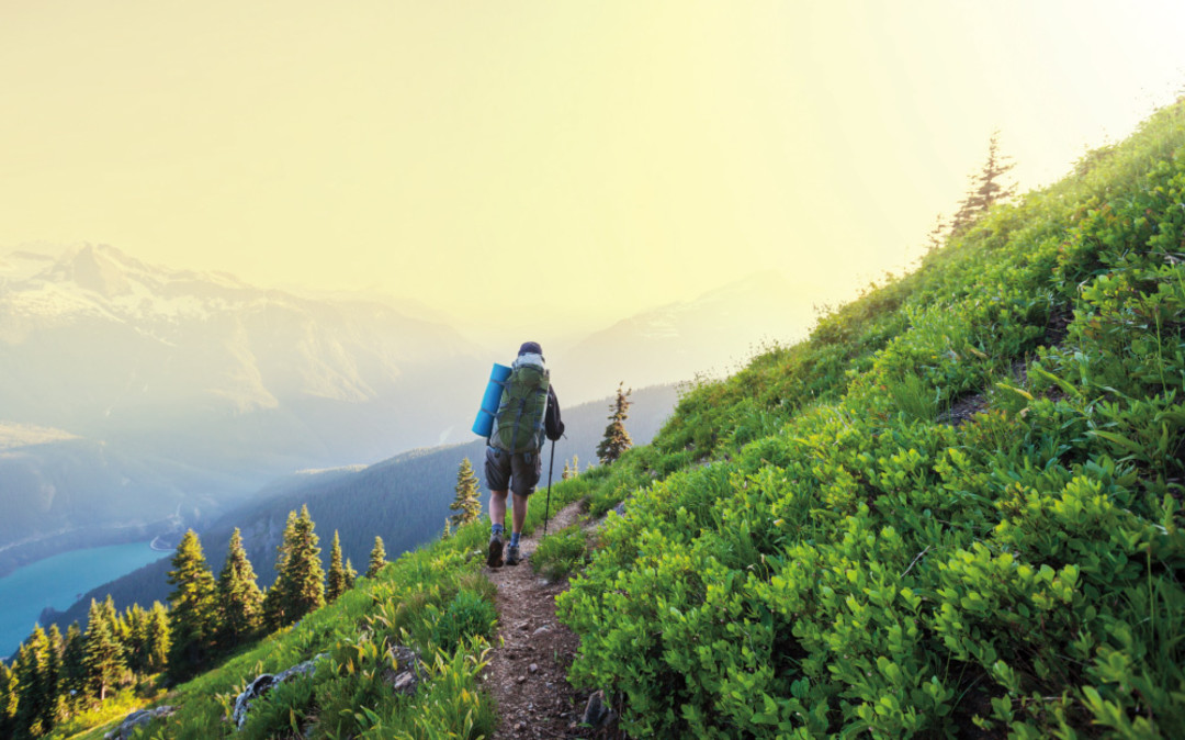 The Best Hiking Trails In North