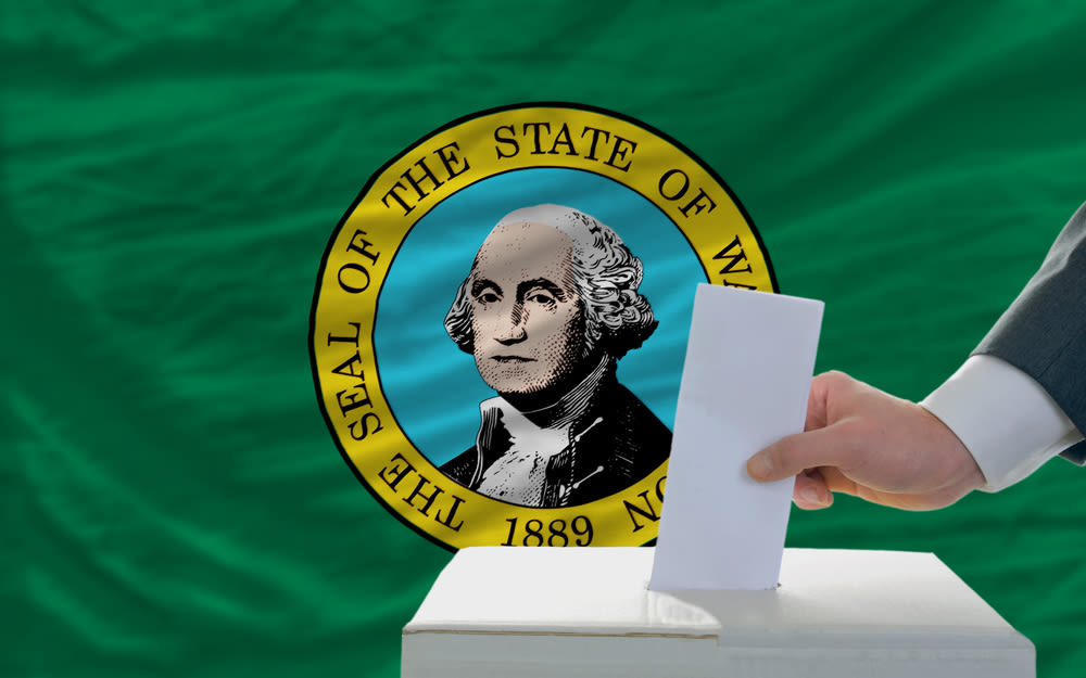 vote in front of Washington flag