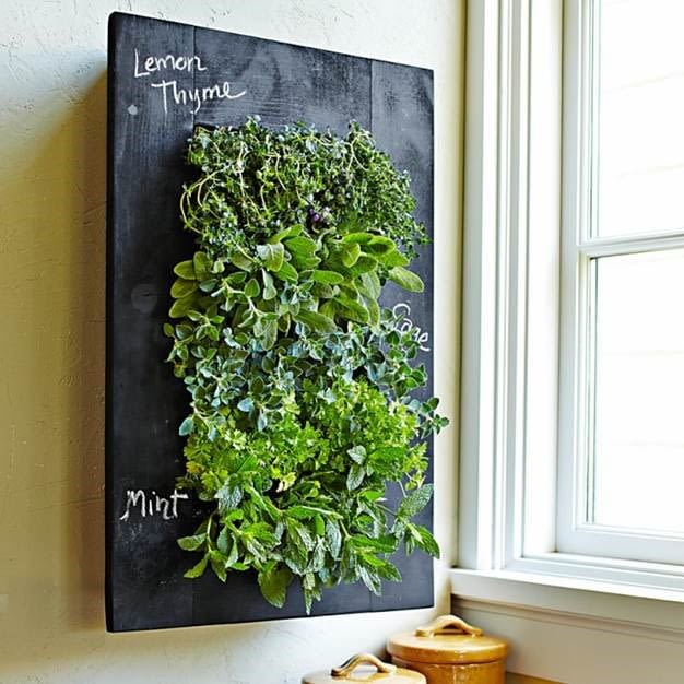 Living herb wall williams sonoma ceq7o0