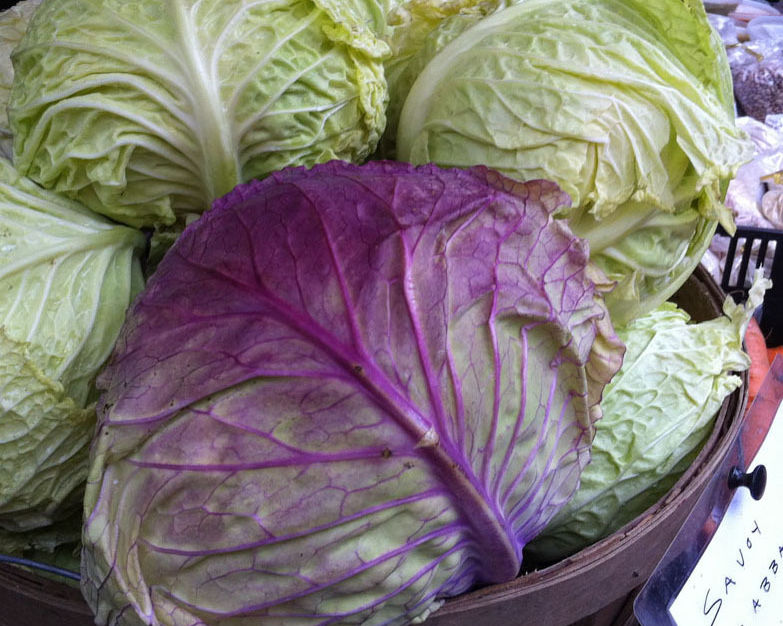 cabbage patch food