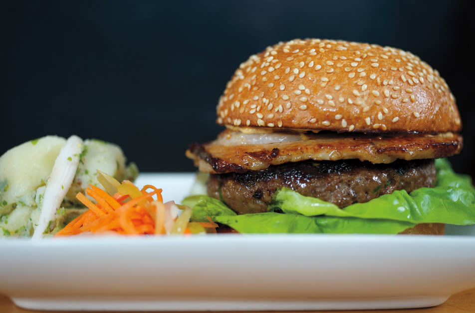 Biwa burger jt6b41