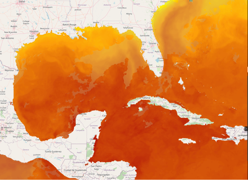 Today's satellite sea surface temperatures (SSTs).