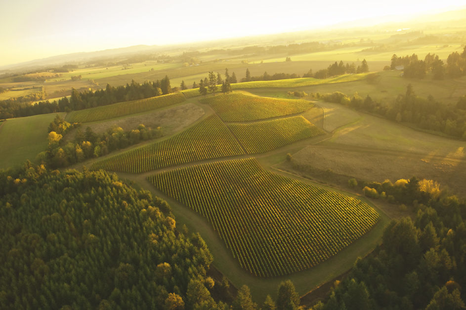 From the Editor: My Willamette Valley, Then and Now