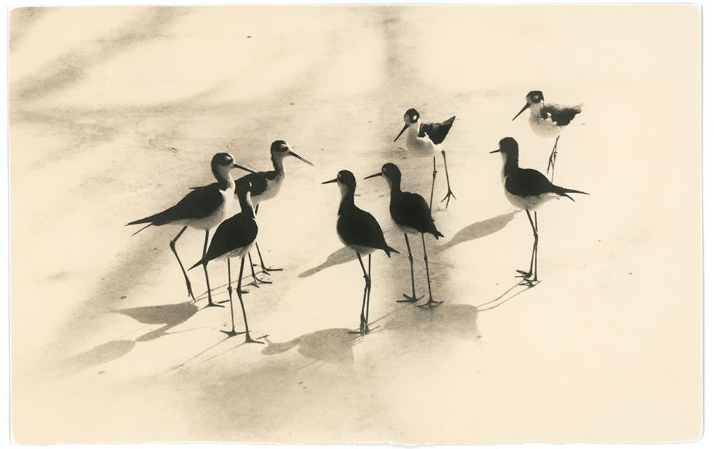 New 20170511masao yamamoto 03 iczlhl
