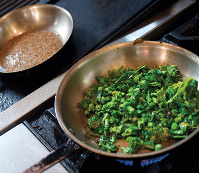 80 dine rapini m25eik