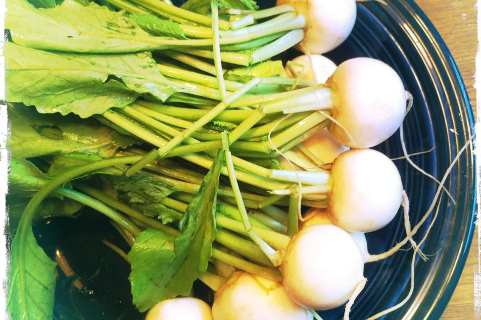 Tiny Veggies™ Turnips for Sale