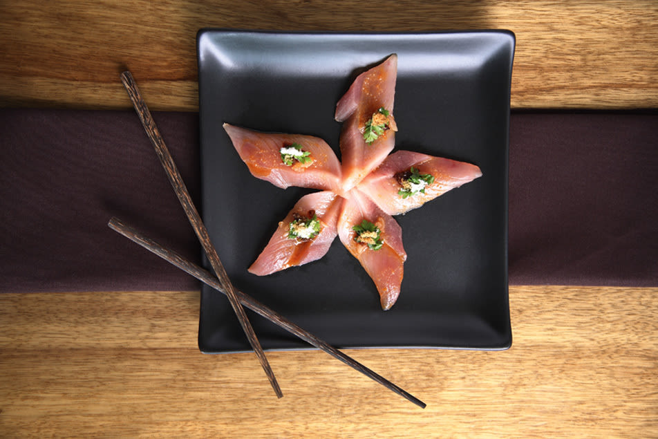 05 64 eat drink fish star xwzz7q