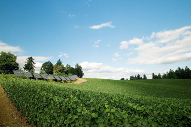 0810 103 ripple solarpan elkgwf