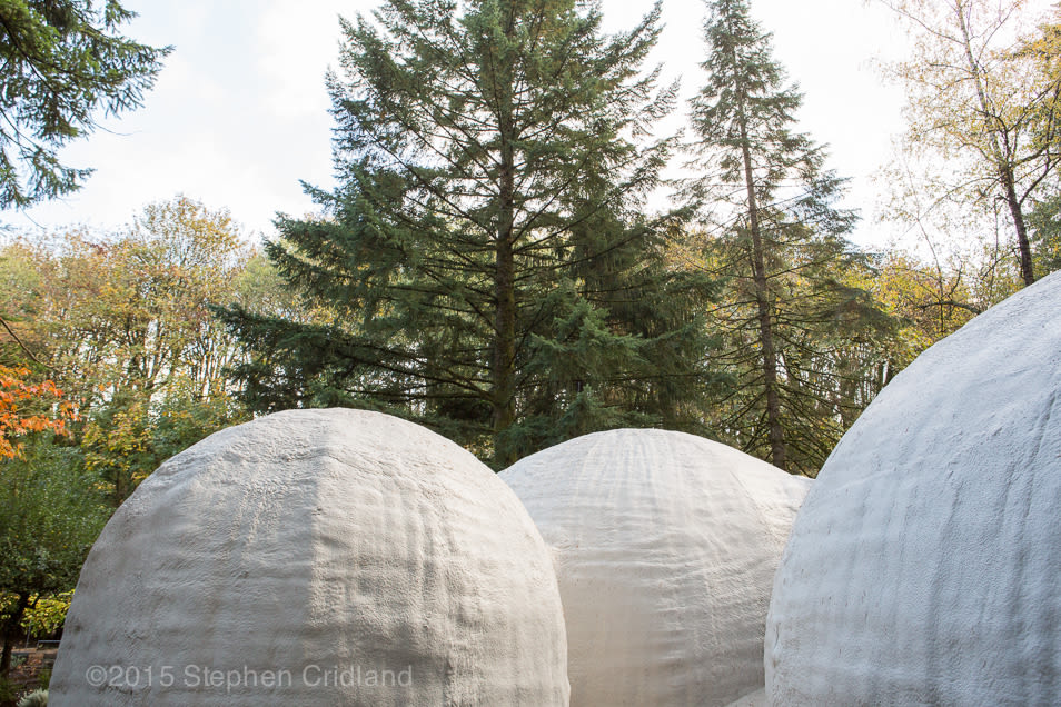Domes and trees uj5z51