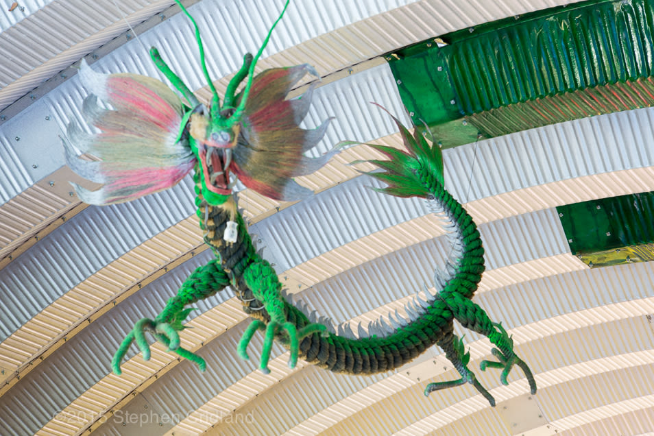 Dragon gvynt7