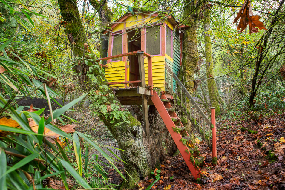 Treehouse mxhn7o