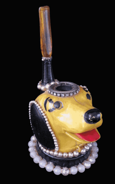 Frenchy.dog al5xd9