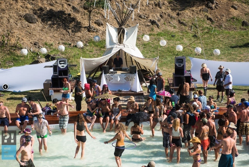 What the festival february 2013 q0wqcx