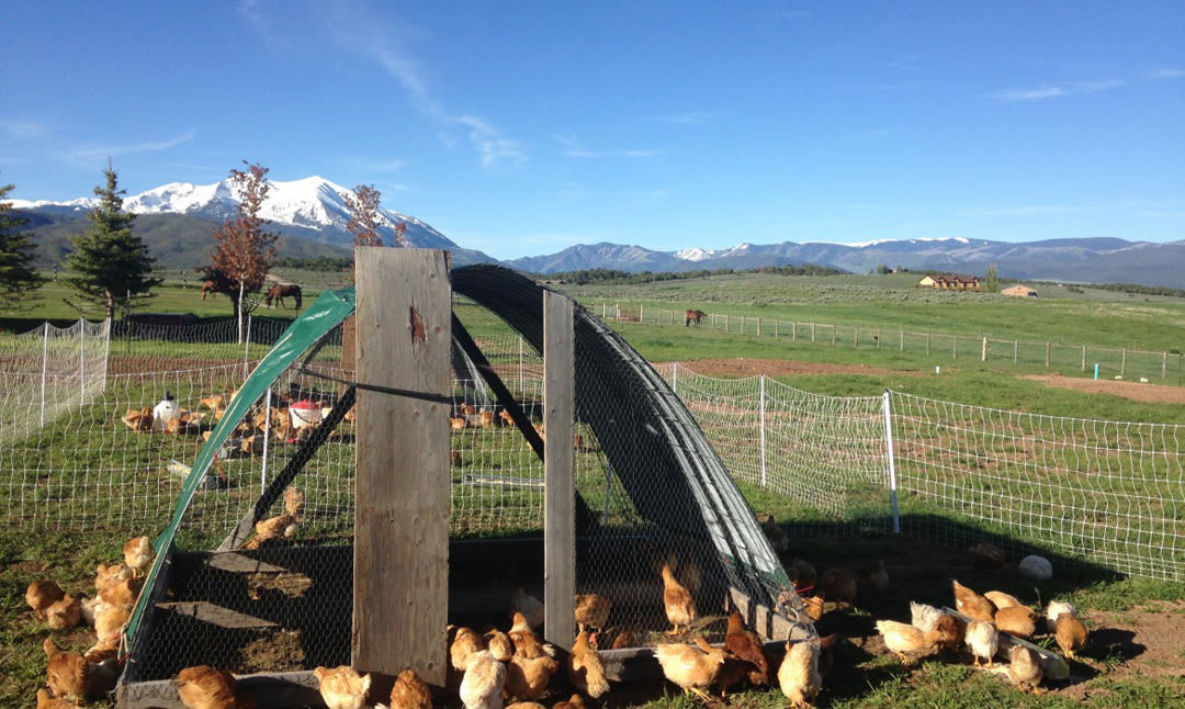 Spradleyfarms vmj3wo