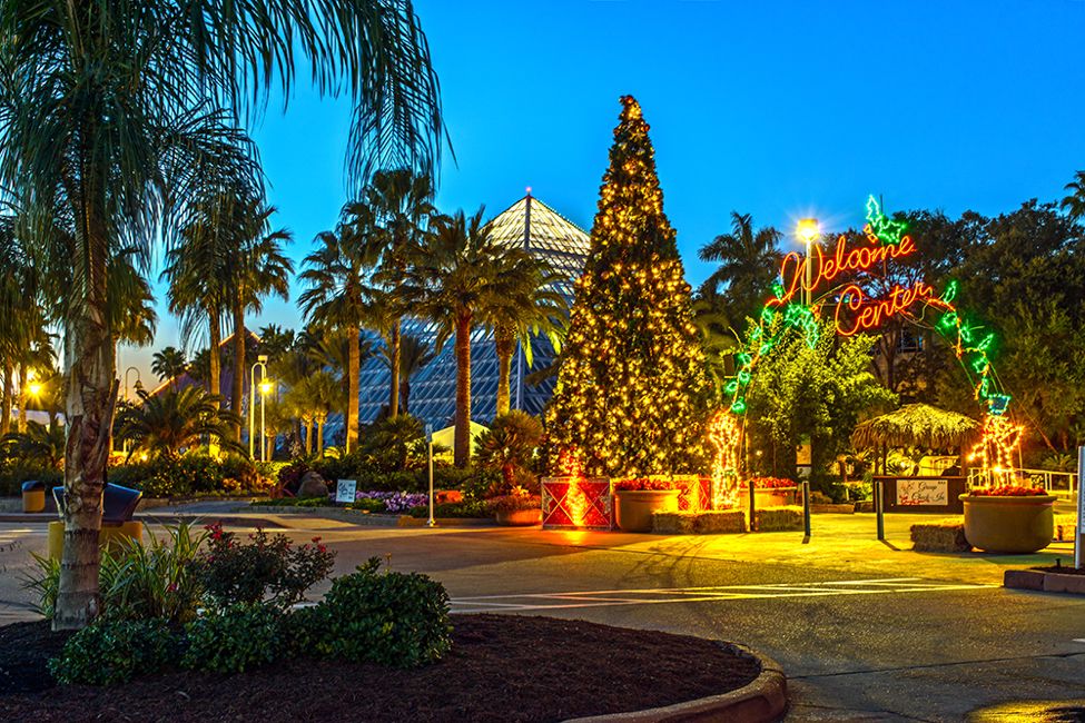 10 Reasons Galveston is the Best Place to be During the Holidays