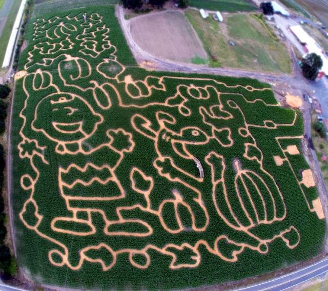 Aerial photo 2016 orhy3f