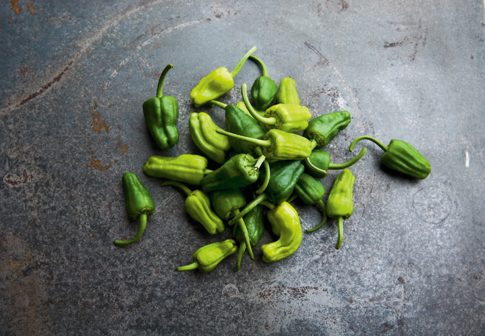 09 119 dining pimientos hml9qf
