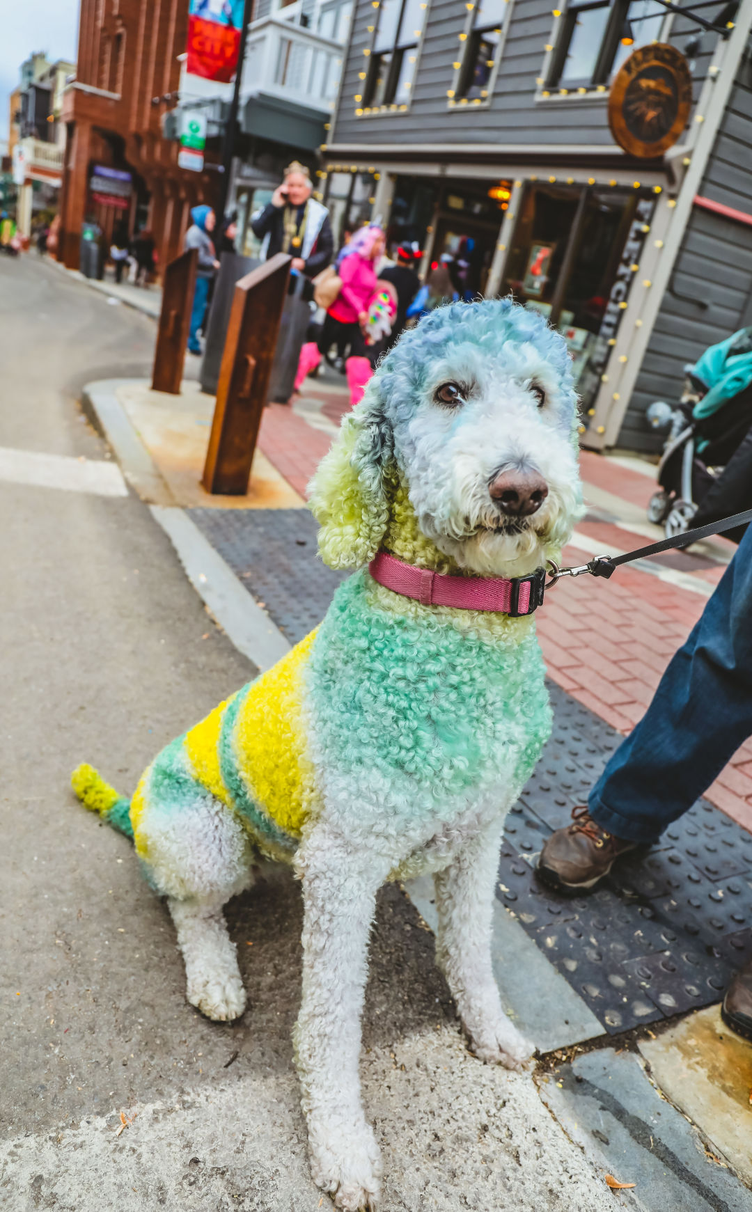 10 Ways to Celebrate Halloween In and Around Park City Park City Magazine