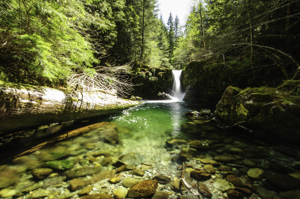 Cedar creek swimming hole hugh k telleria xorrew