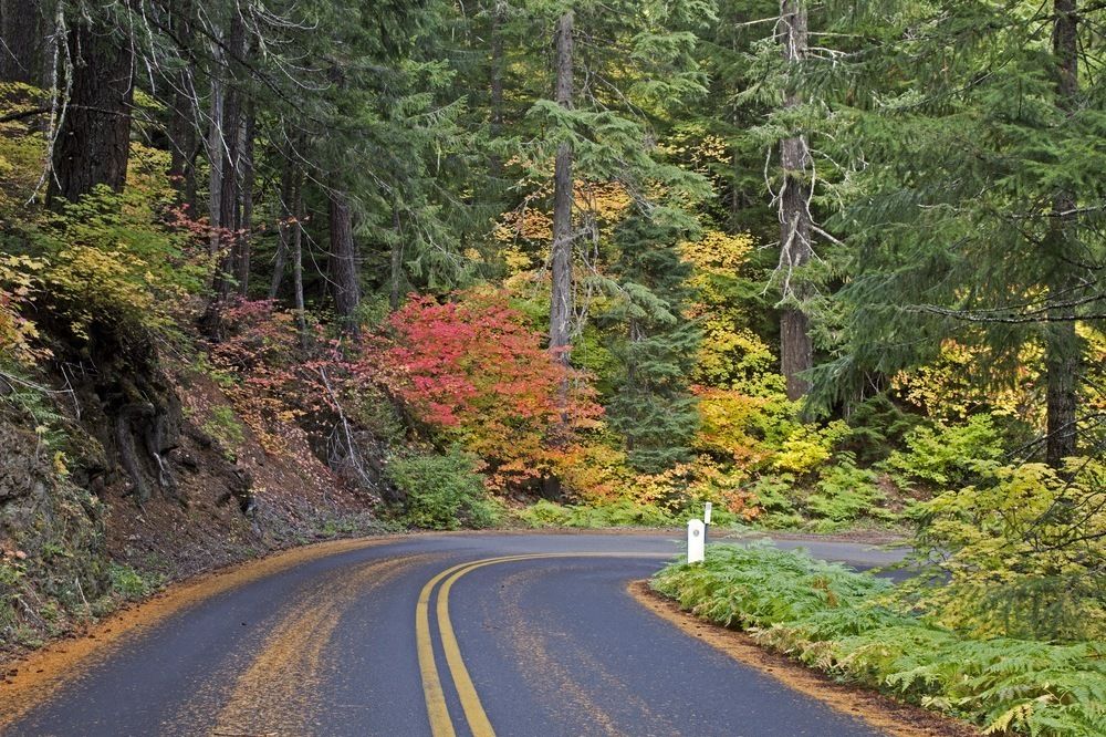 McKenzie Pass Open Exclusively to Cyclists Thru June 15 Portland Monthly