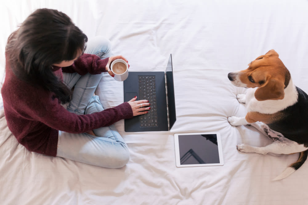 someone working on their bed with a dog