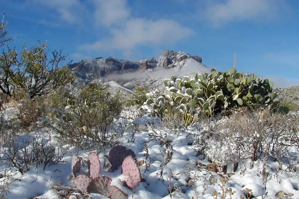 5 Places in Texas to (Maybe, Probably) See Some Snow - Vimarsana News