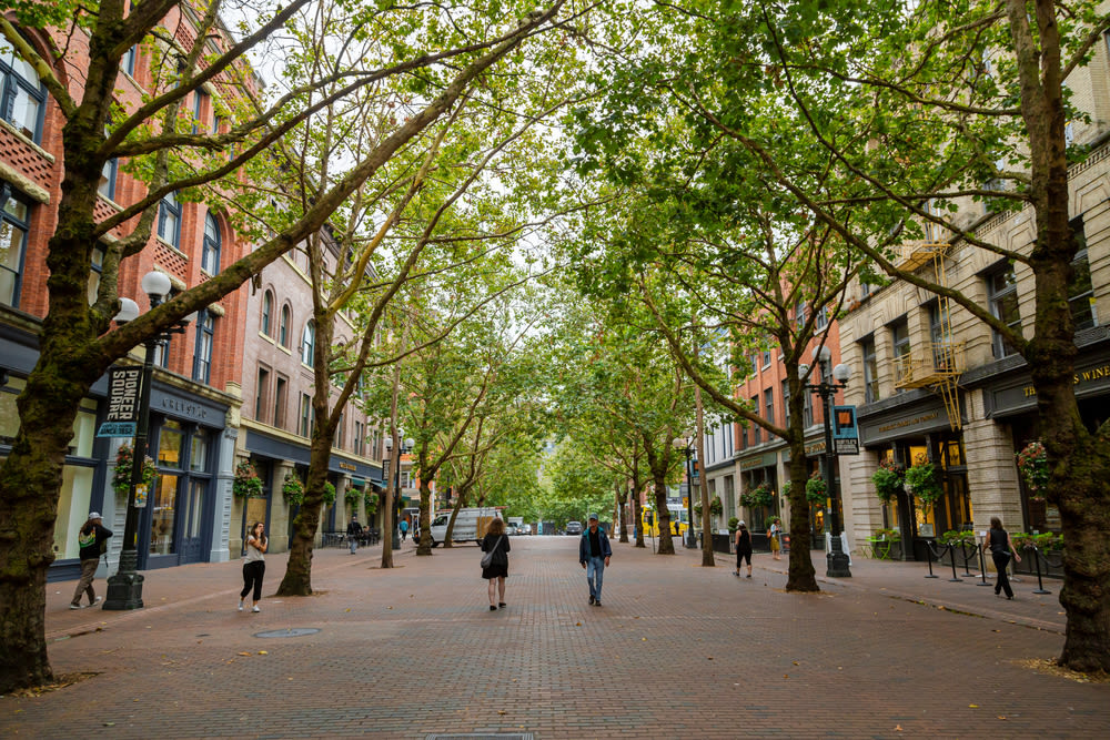 How an Alliance Helps Pioneer Square Small Businesses Persevere - Vimarsana News