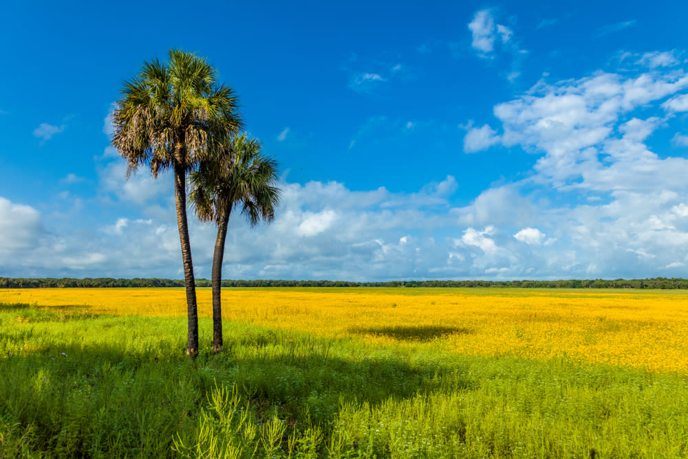 Rural Hi Hat Ranch Gets Closer to a Major Development