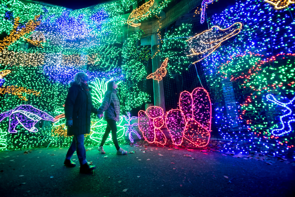 9 Sparkly, MustSee Holiday Lights Displays in Oregon 2022 Portland