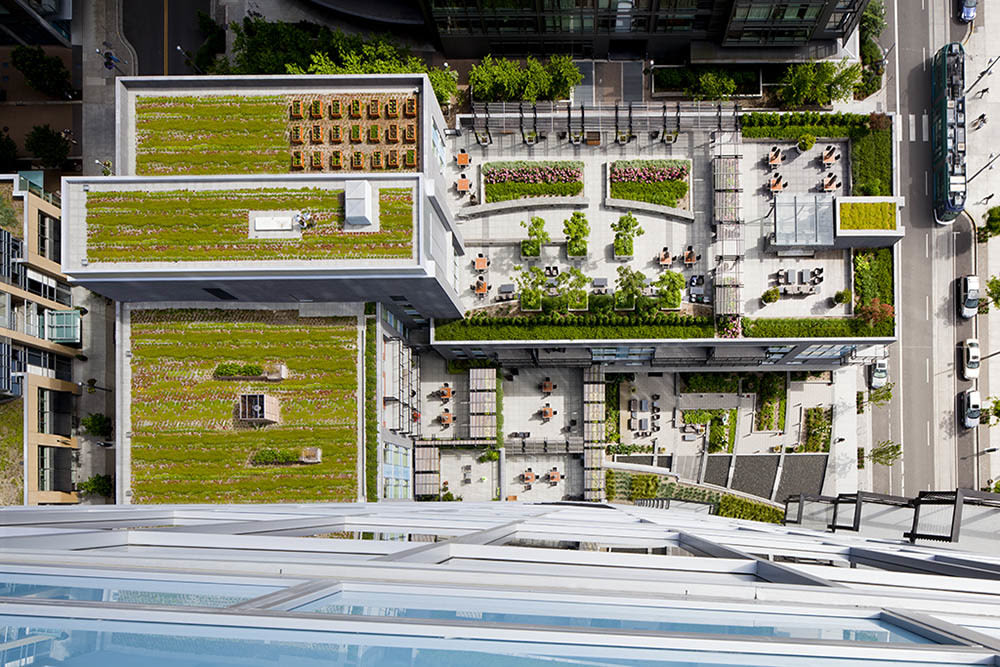 Green rooftop sunnvb