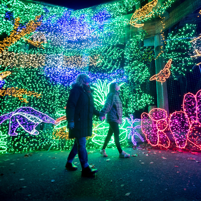 Courtesy of Oregon Zoo Lights Portland Monthly