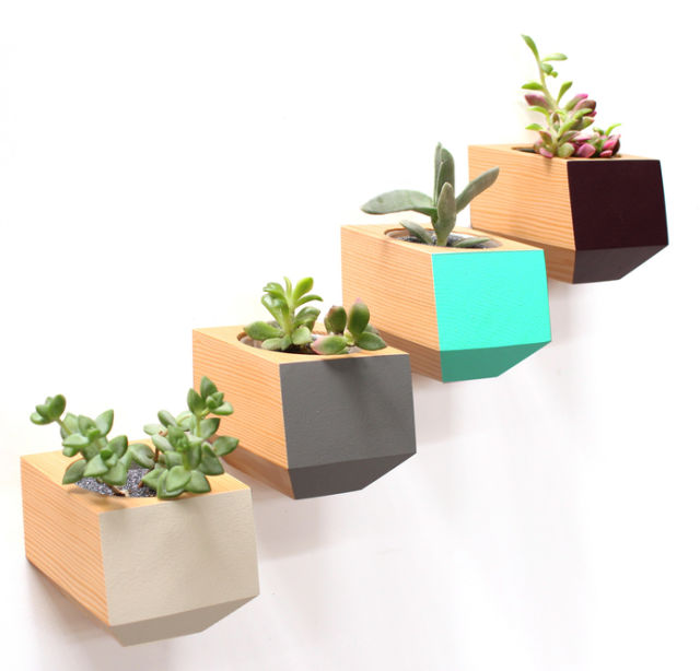 Fir planters i2gt8z