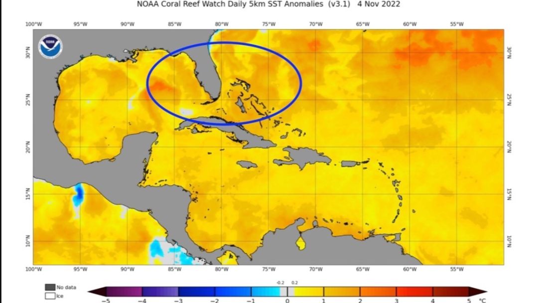 Sea surfaces temperatures in November 2022