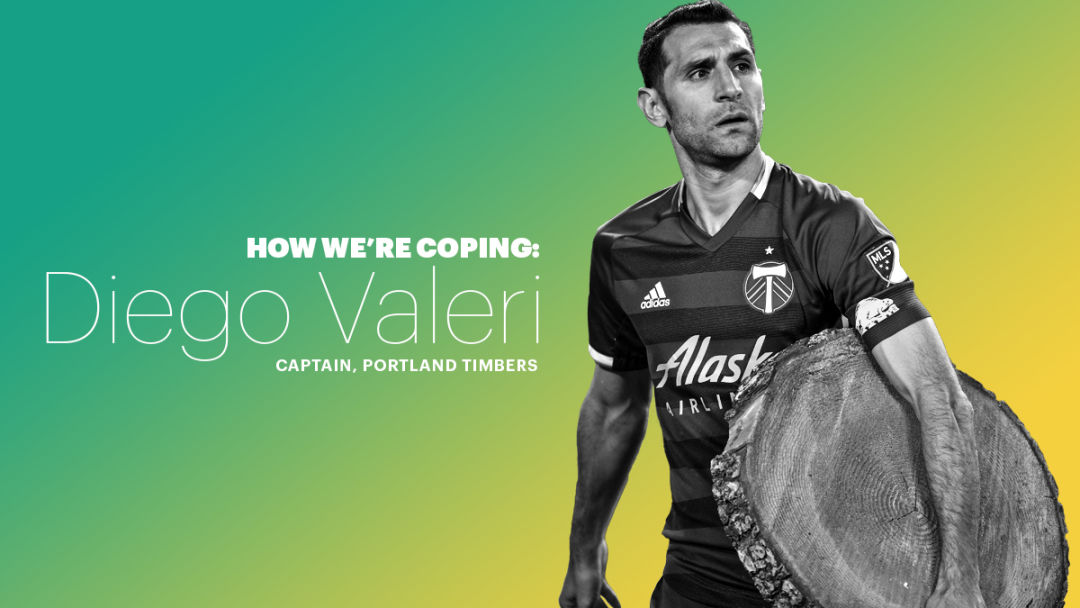 Put a Star on It  Get an MLS Cup star for your Portland Timbers