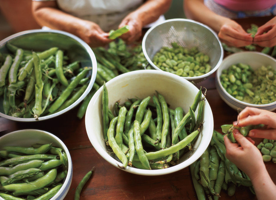 0804 pg173 savor beans fnkwio