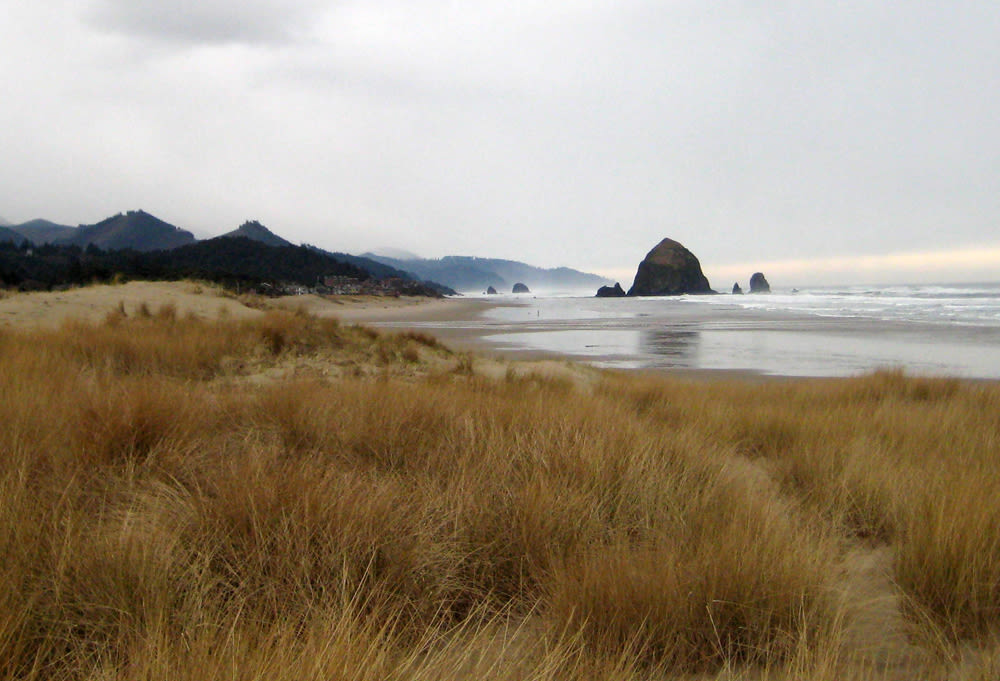 Stormycannonbeach nzw6a6