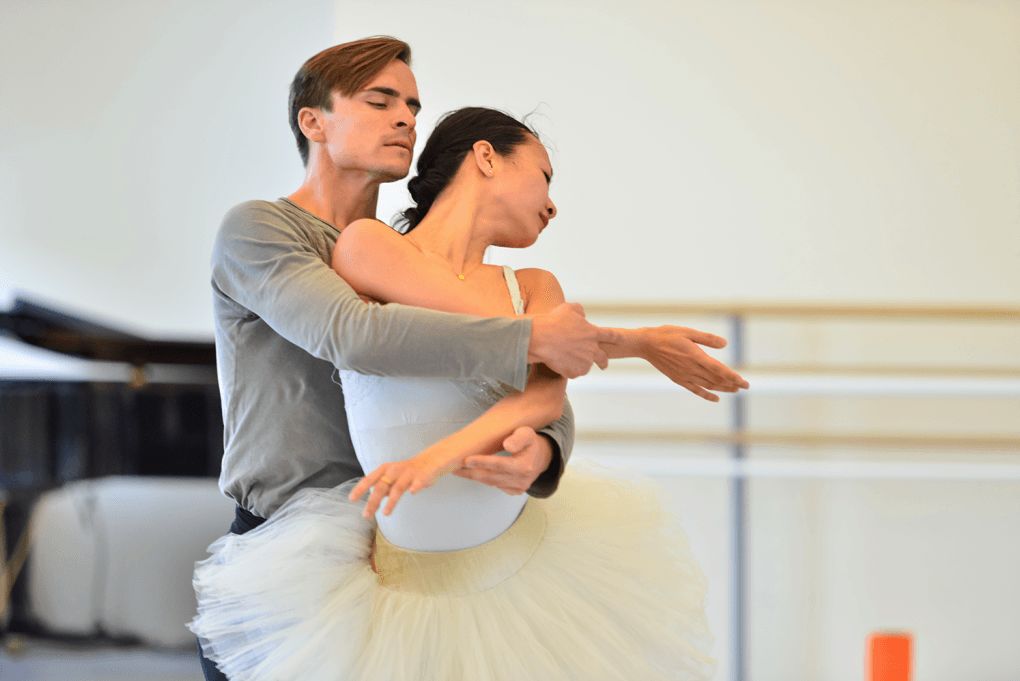 Swan lake ksozx1