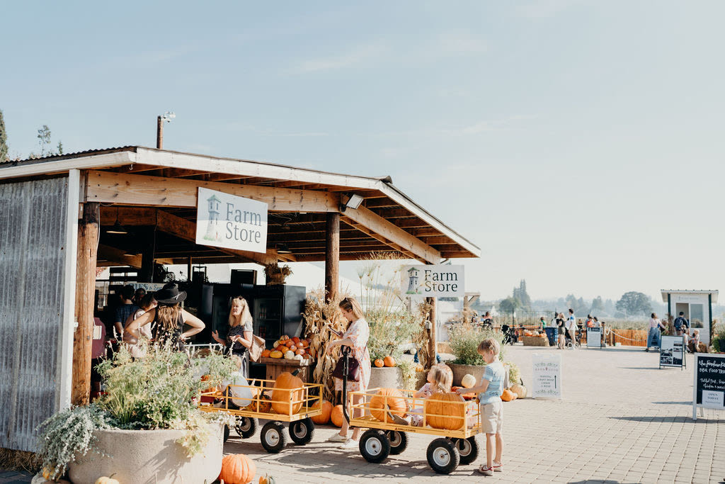 hoffman-farms-train-pumpkin-patch2_wesvvj The Best Pumpkin Patches to Visit near Portland This Fall