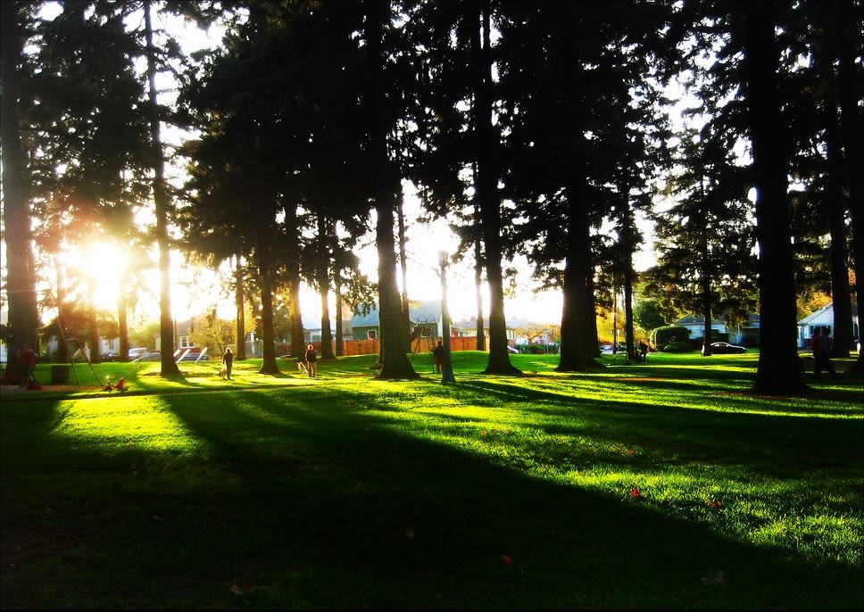 Alberta park portland oregon hatsnh