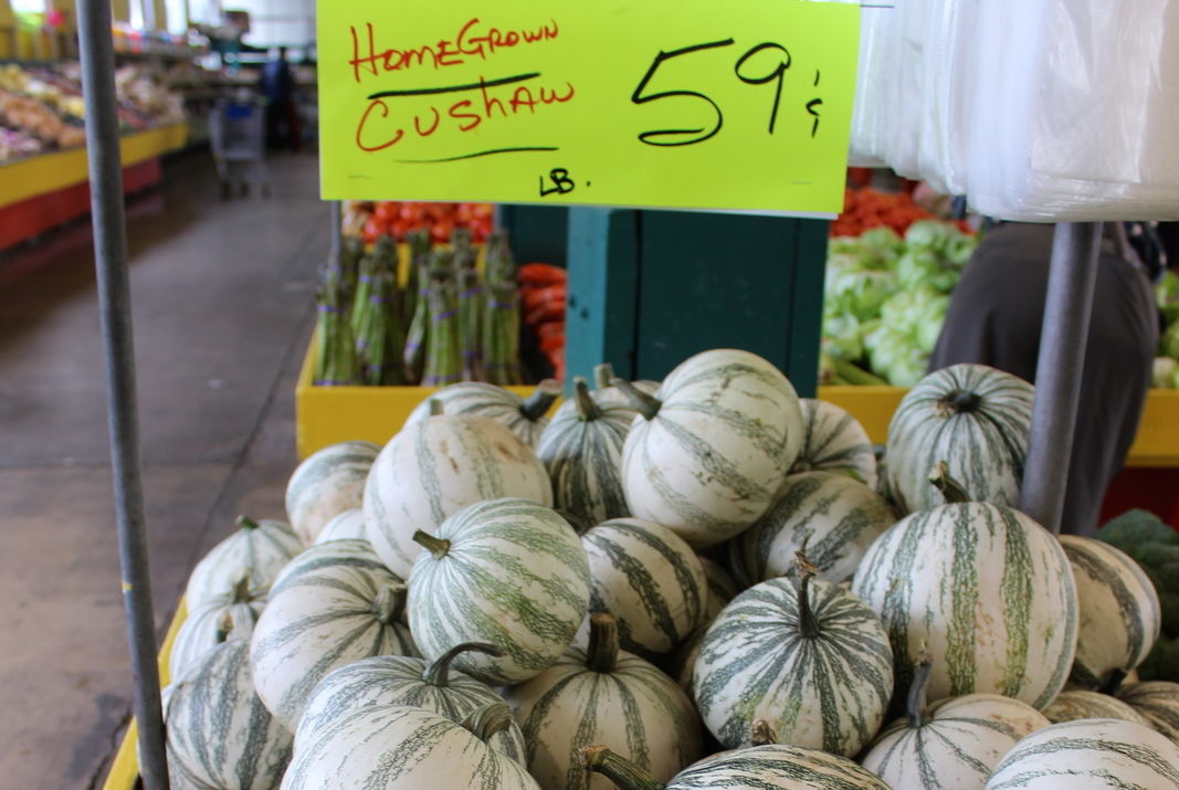 Cushaw Squash Is More Than Just Decor Houstonia