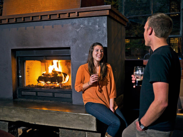 Paragon fire place zokddv