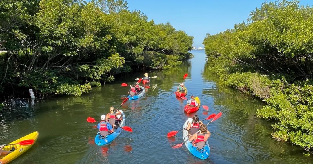 Daily guided kayak tours are a part of The Bay Park's 10-day grand-opening celebration.