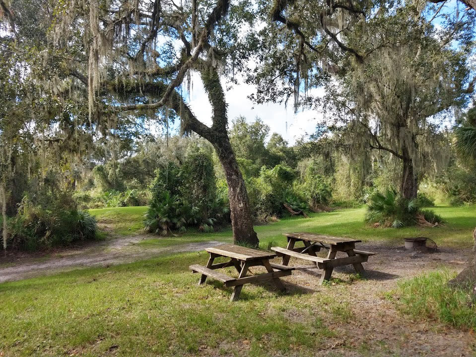 A picnic area is the perfect place to break for lunch.