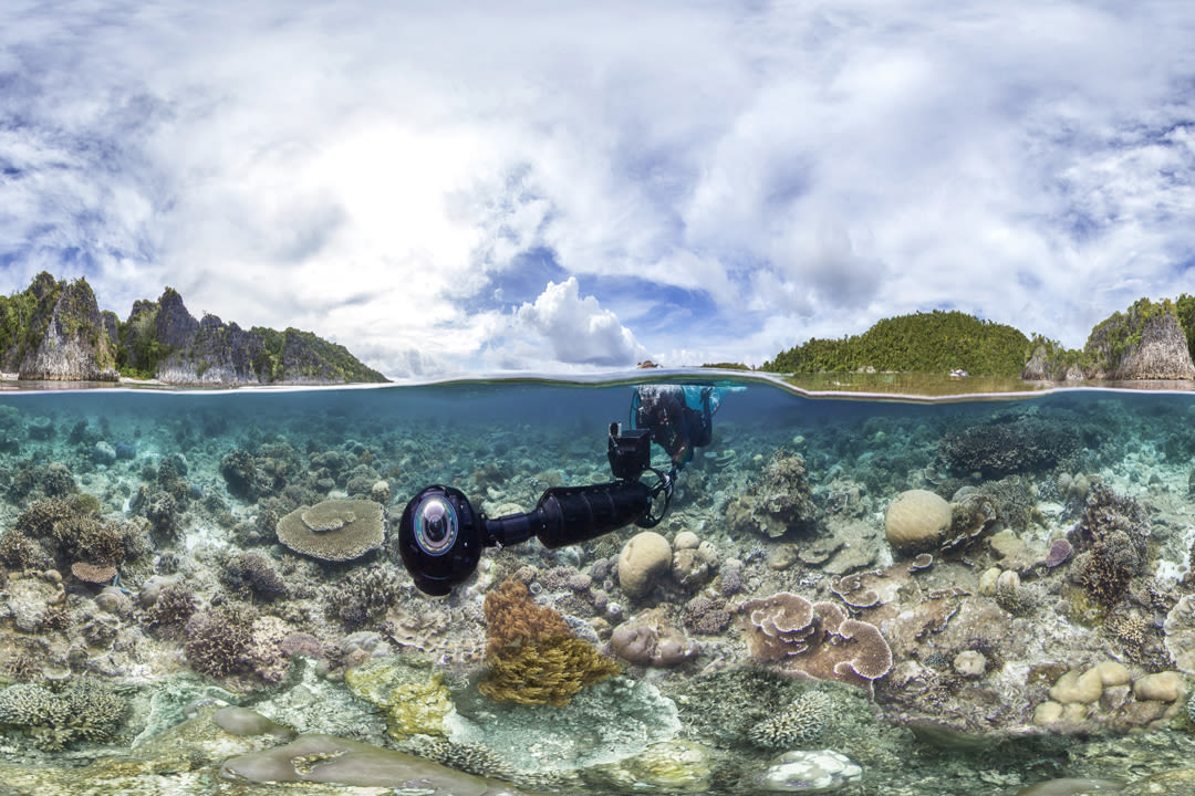 Svii in coral triangle photo by the ocean agency xlcatlin seaview survey aaron spence y3kiue