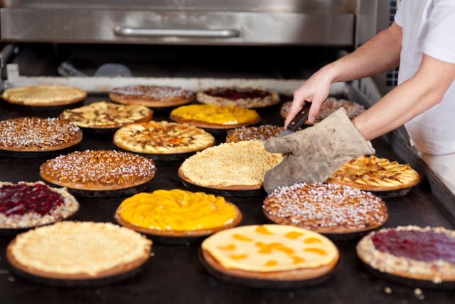 Pies b9cibd