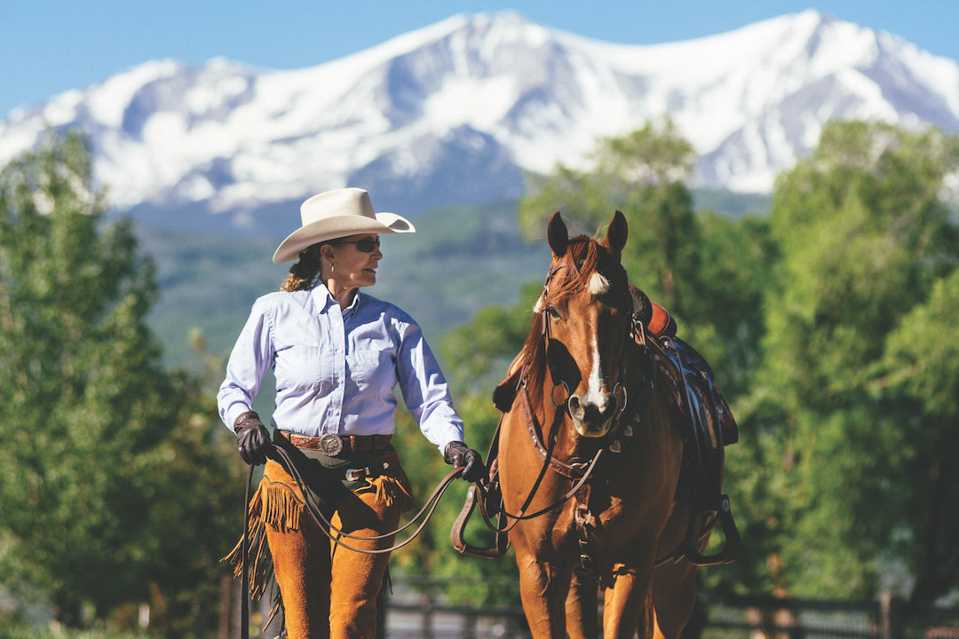 Cozy Point Ranch Aspen S Original Horse Haven Aspen Sojourner